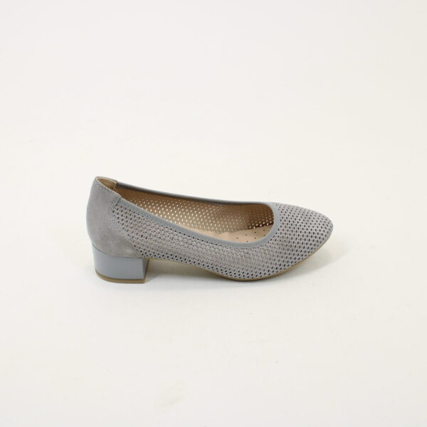 CAP 22501 - Image 2