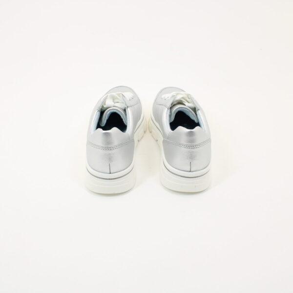 ARA 47101 - Image 3