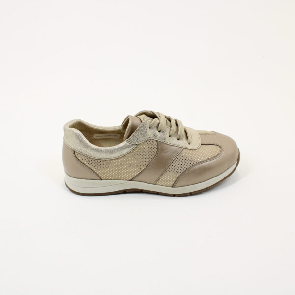 DB SHOES Gadwall