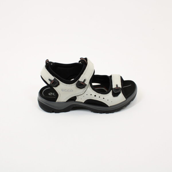 ECCO 822043