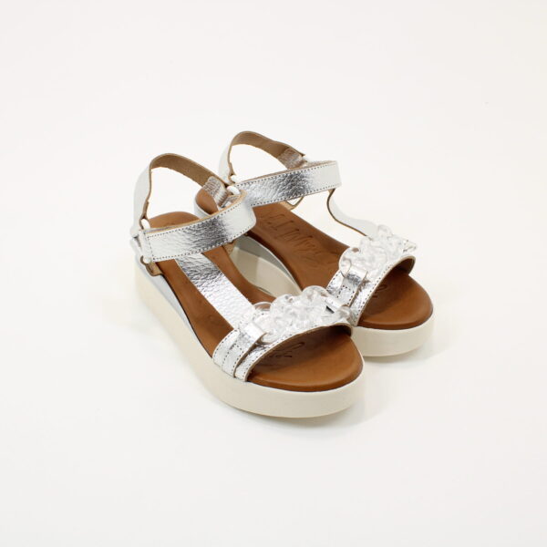 OMS 5009 - Image 4