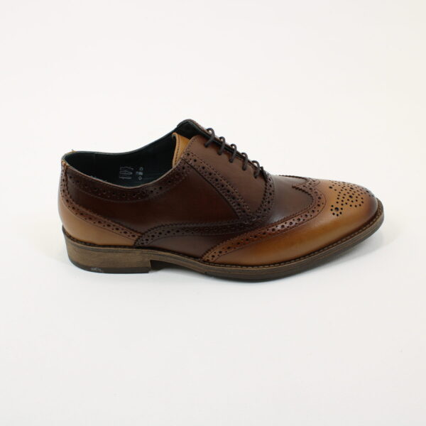SAVELLI Ashington - Image 2