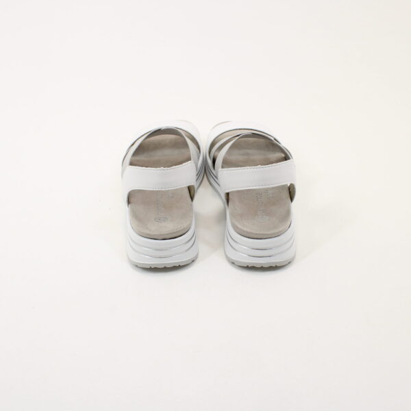 RKR R2954 - Image 3
