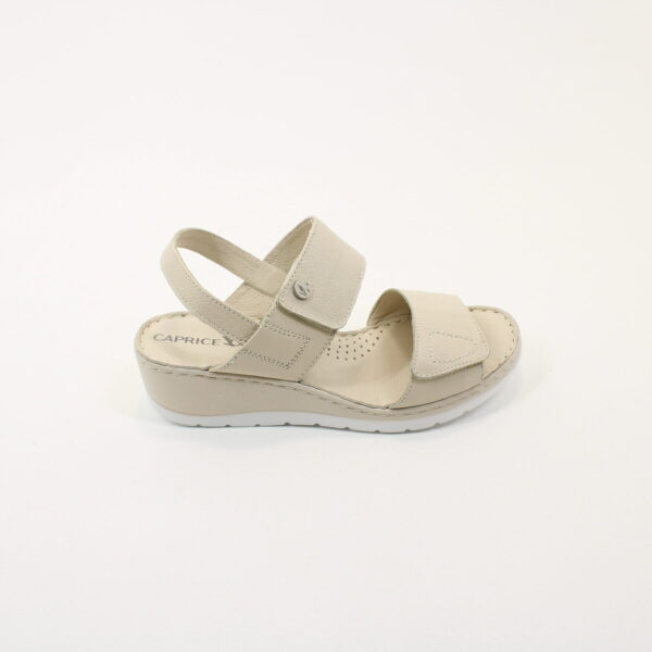 CAP 28251 - Image 2