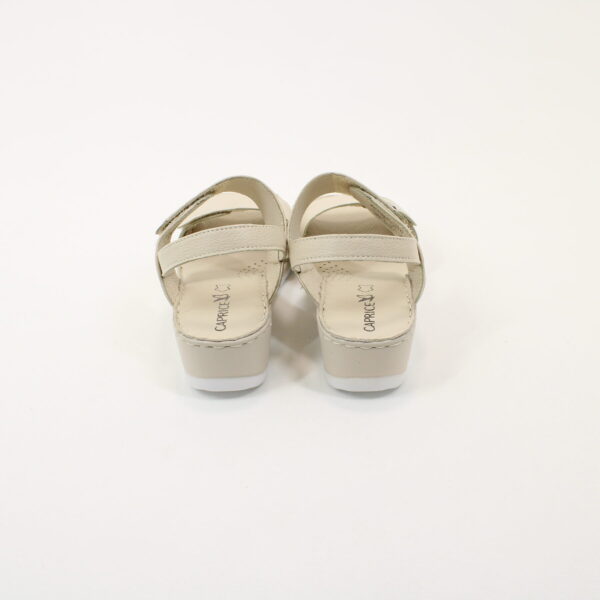 CAP 28251 - Image 3