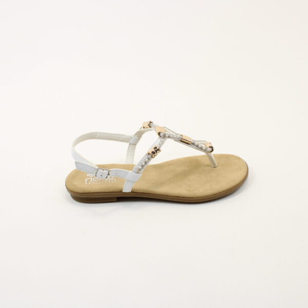 RKR 64271 - Image 2