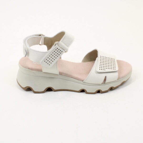 DORKING Lais D9025 - Image 4