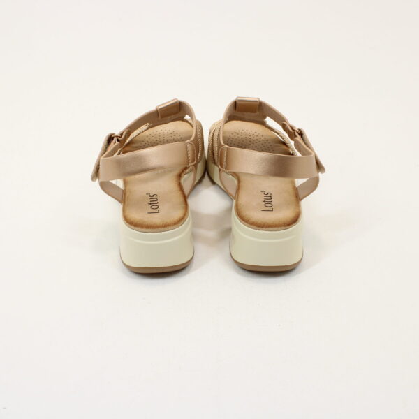 LOTUS Galli ULP273 - Image 6