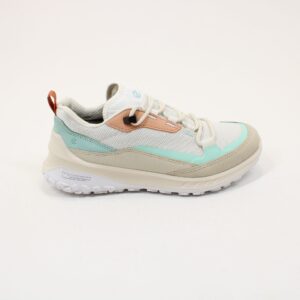 ECCO Ult-Trn W Waterproof Hiking Shoe 824253