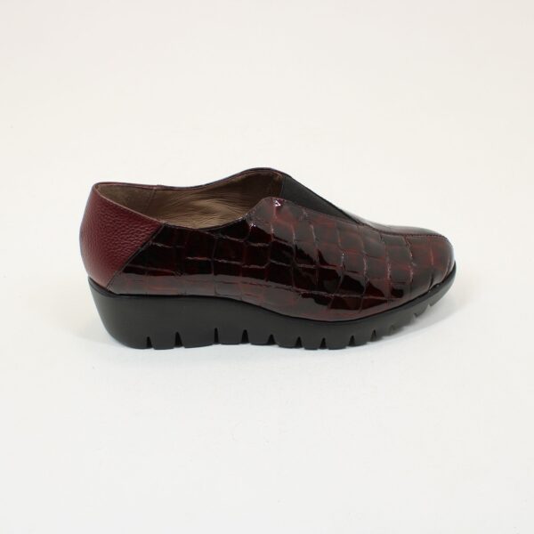 WONDERS Fly Wedge C-33340