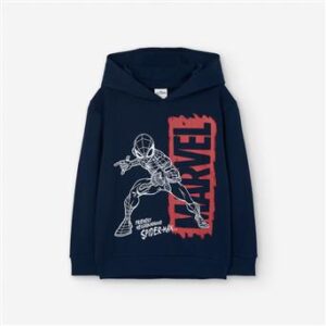 LOSAN Boys Sweatshirt 5105005901 LKBAP0202_25018