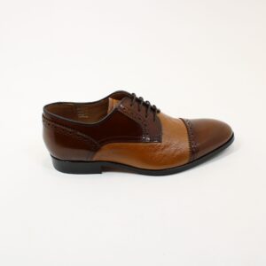 BARKER Ashbourne