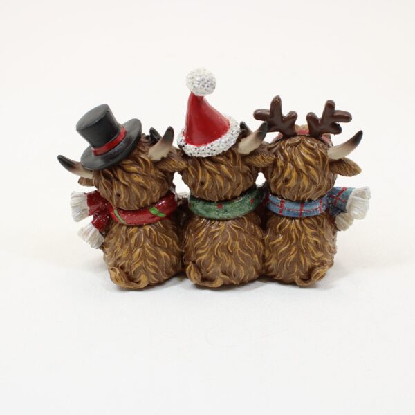 SHUDEHILL Merry Xmas Coos Trio Small 352202 - Image 2