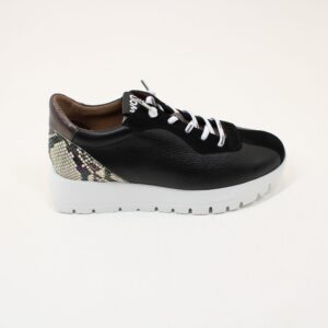 WONDERS Odisei 95 A-2495